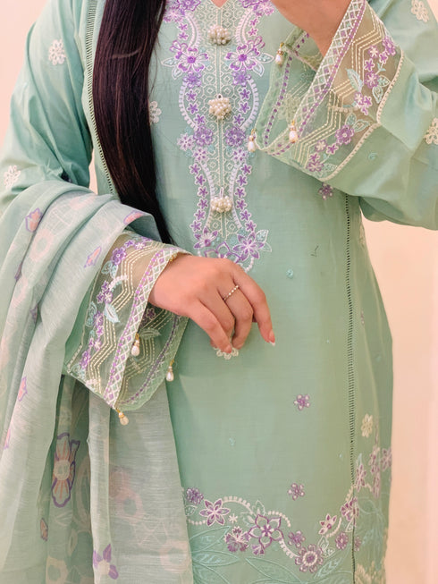 Pistachio Green Embroidered Suit Elegant & Refreshing