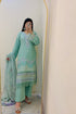 Pistachio Green Embroidered Suit Elegant & Refreshing