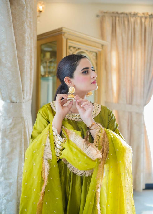 Olive Royal Silk Maxi with Embellished Dupatta – Custom Collection