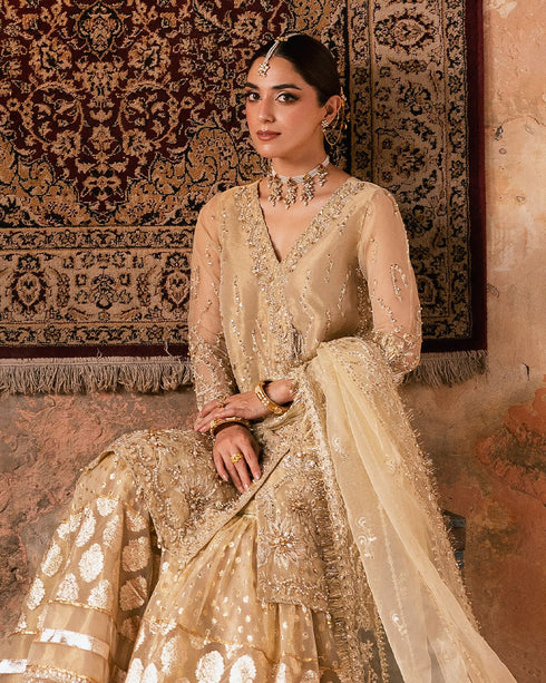 FIRDOUS Regal Organza Embroidered Ensemble