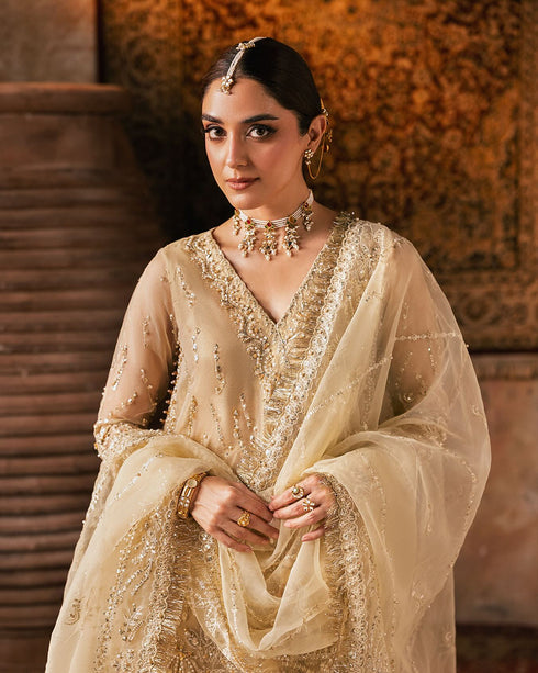 FIRDOUS Regal Organza Embroidered Ensemble